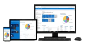body microsoft dynamics 365 business central not for profit
